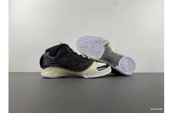 CZ6222-001  TITAN  CZ6222-001 23 Jordan 1222